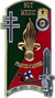 161° promotion - SGT MEDIC